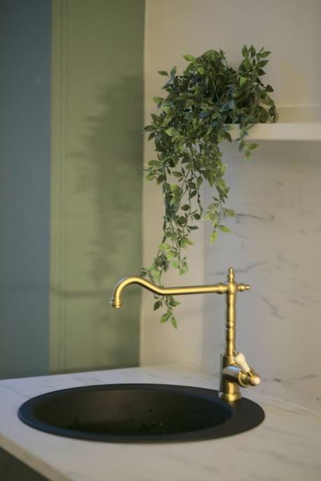 Royal Room Jacuzzi Haut De Gamme Centre Ville มูลูส ภายนอก รูปภาพ